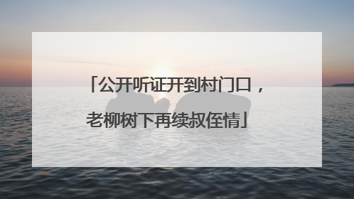 公开听证开到村门口，老柳树下再续叔侄情