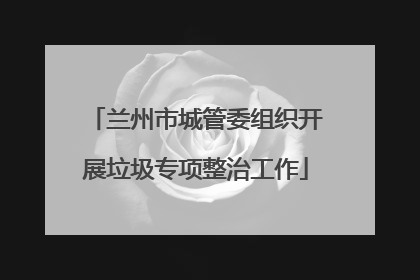 兰州市城管委组织开展垃圾专项整治工作