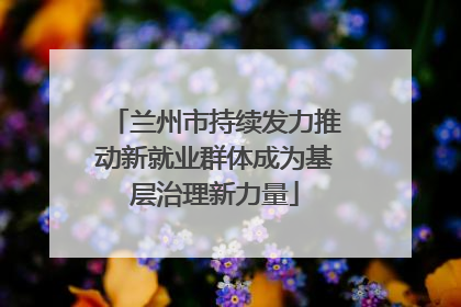 兰州市持续发力推动新就业群体成为基层治理新力量