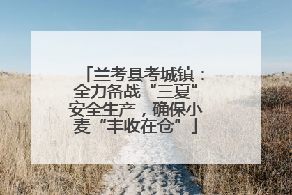 兰考县考城镇：全力备战“三夏”安全生产，确保小麦“丰收在仓”