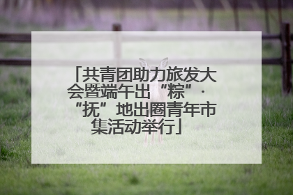 共青团助力旅发大会暨端午出“粽”·“抚”地出圈青年市集活动举行