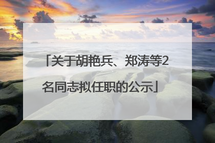 关于胡艳兵、郑涛等2名同志拟任职的公示