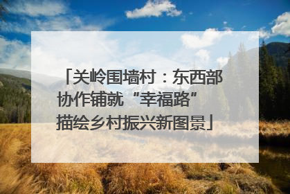 关岭围墙村：东西部协作铺就“幸福路” 描绘乡村振兴新图景