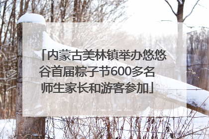 内蒙古美林镇举办悠悠谷首届粽子节600多名师生家长和游客参加