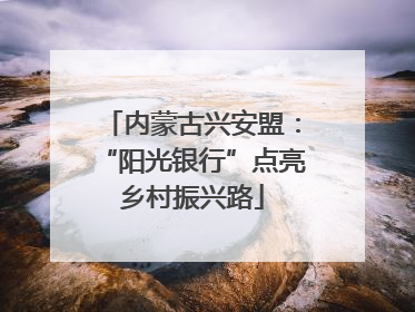内蒙古兴安盟：“阳光银行”点亮乡村振兴路