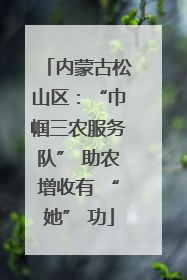 内蒙古松山区：“巾帼三农服务队” 助农增收有 “她” 功
