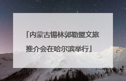内蒙古锡林郭勒盟文旅推介会在哈尔滨举行