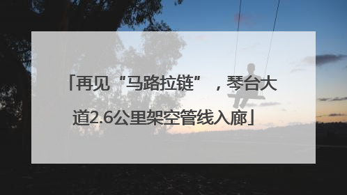 再见“马路拉链”，琴台大道2.6公里架空管线入廊