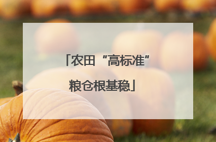 农田“高标准” 粮仓根基稳
