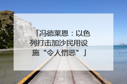 冯德莱恩：以色列打击加沙民用设施“令人憎恶”
