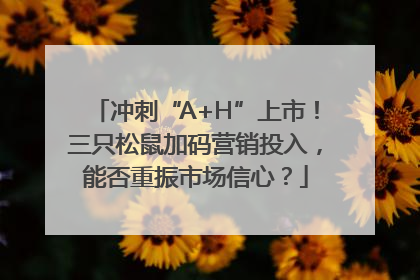 冲刺“A+H”上市！三只松鼠加码营销投入，能否重振市场信心？