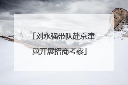 刘永强带队赴京津冀开展招商考察