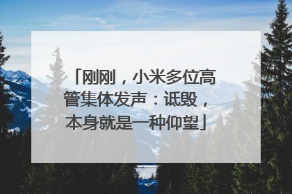 刚刚，小米多位高管集体发声：诋毁，本身就是一种仰望