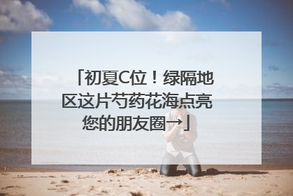 初夏C位！绿隔地区这片芍药花海点亮您的朋友圈→