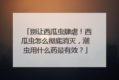 别让西瓜虫肆虐！西瓜虫怎么彻底消灭，潮虫用什么药最有效？