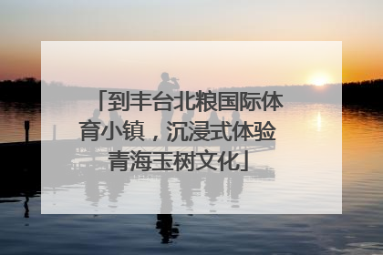 到丰台北粮国际体育小镇，沉浸式体验青海玉树文化