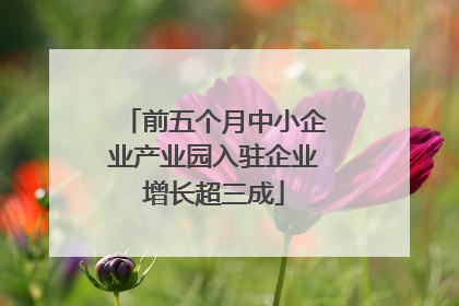 前五个月中小企业产业园入驻企业增长超三成