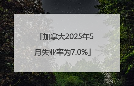 加拿大2025年5月失业率为7.0%