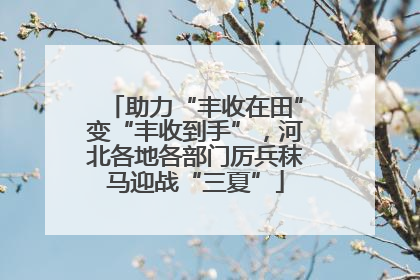 助力“丰收在田”变“丰收到手”，河北各地各部门厉兵秣马迎战“三夏”