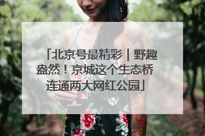 北京号最精彩｜野趣盎然！京城这个生态桥连通两大网红公园
