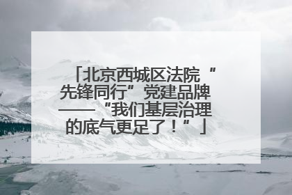 北京西城区法院“先锋同行”党建品牌——“我们基层治理的底气更足了！”