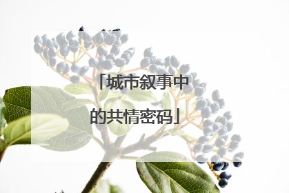 城市叙事中的共情密码