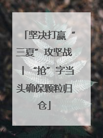 坚决打赢“三夏”攻坚战丨“抢”字当头确保颗粒归仓