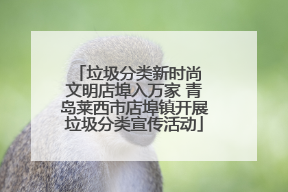 垃圾分类新时尚 文明店埠入万家 青岛莱西市店埠镇开展垃圾分类宣传活动