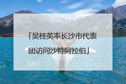 吴桂英率长沙市代表团访问沙特阿拉伯