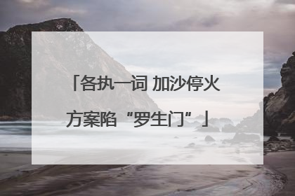 各执一词 加沙停火方案陷“罗生门”