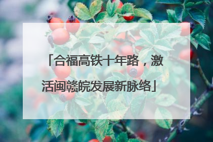 合福高铁十年路，激活闽赣皖发展新脉络