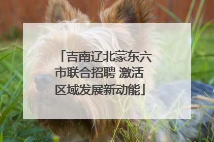 吉南辽北蒙东六市联合招聘 激活区域发展新动能