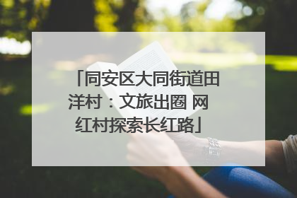 同安区大同街道田洋村：文旅出圈 网红村探索长红路