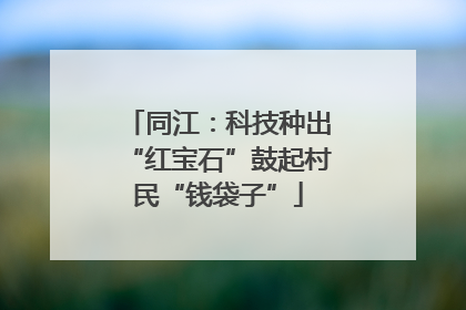 同江：科技种出“红宝石”鼓起村民“钱袋子”
