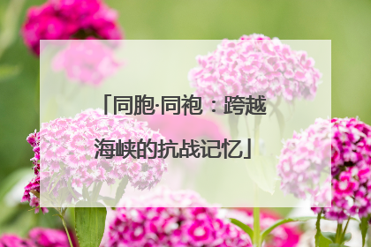 同胞·同袍：跨越海峡的抗战记忆
