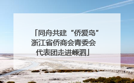 同舟共建“侨爱岛” 浙江省侨商会青委会代表团走进嵊泗