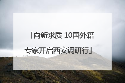 向新求质 10国外籍专家开启西安调研行