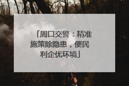 周口交警：精准施策除隐患，便民利企优环境