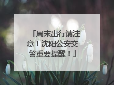 周末出行请注意！沈阳公安交警重要提醒！