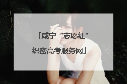 咸宁“志愿红”织密高考服务网