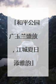 和平公园广玉兰盛放，江城夏日添雅韵