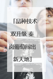 品种技术双升级 秦岗葡萄闯出新天地