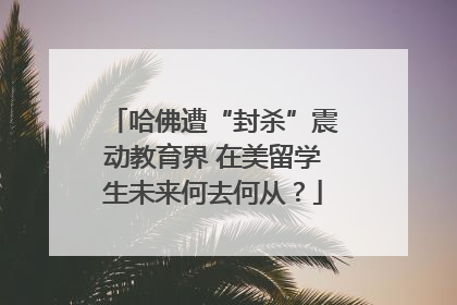 哈佛遭“封杀”震动教育界 在美留学生未来何去何从？