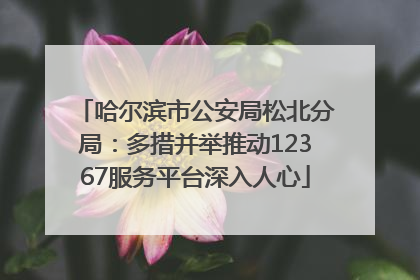 哈尔滨市公安局松北分局：多措并举推动12367服务平台深入人心