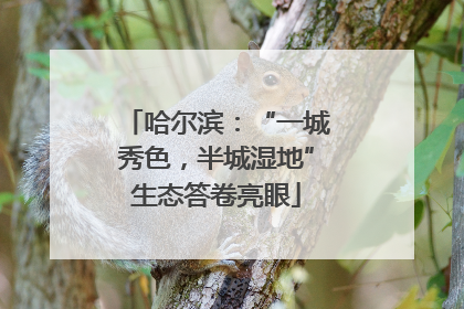 哈尔滨：“一城秀色，半城湿地”生态答卷亮眼