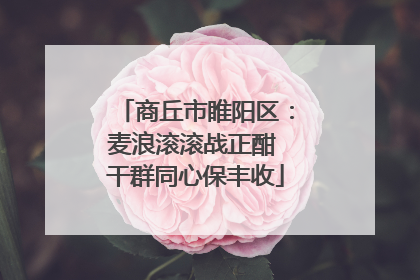 商丘市睢阳区：麦浪滚滚战正酣 干群同心保丰收