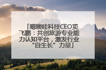 嗯噢哇科技CEO窦飞鹏：共创旅游专业能力认知平台，激发行业“自生长”力量