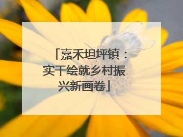 嘉禾坦坪镇：实干绘就乡村振兴新画卷