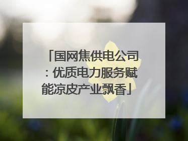 国网焦供电公司：优质电力服务赋能凉皮产业飘香