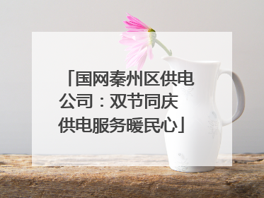 国网秦州区供电公司：双节同庆 供电服务暖民心